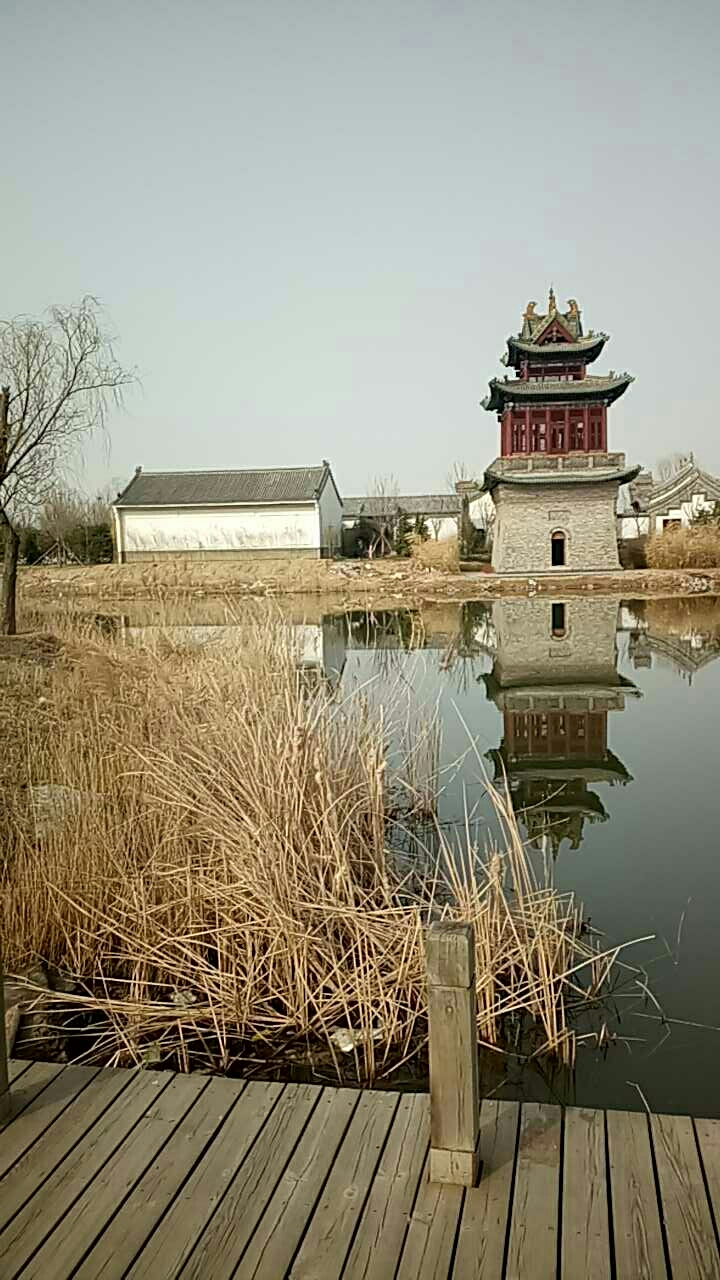 唐岛湾公园5号门。