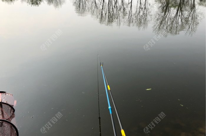 东平生态垂钓园