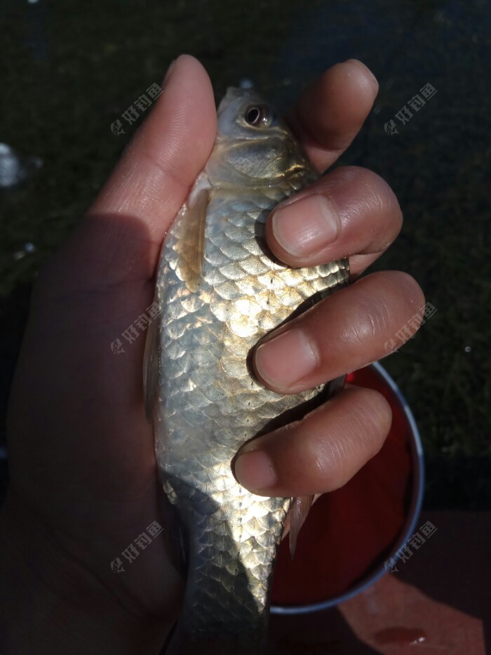 在阳光的照耀下都反光