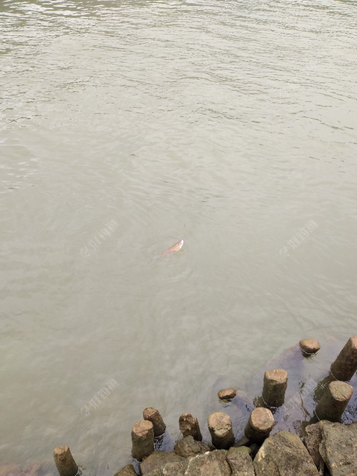 小兔崽子想跑没门，我等你很久了