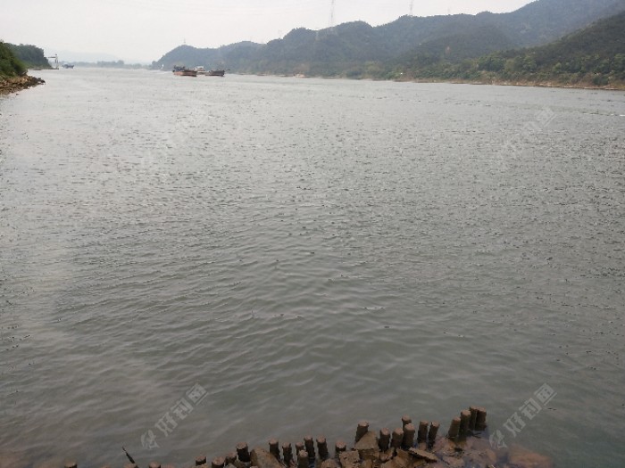 这环境对于钓鱼人来说绝对是兴奋剂