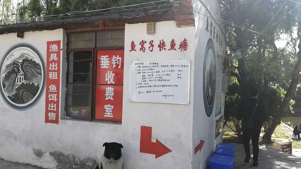 大理鱼窝子快鱼塘