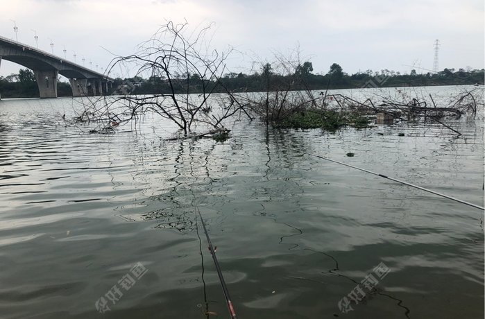 湘江茅叶大桥段