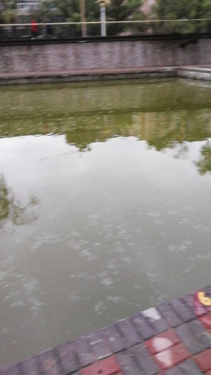 铜川市人民公园垂钓