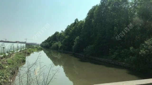 东海第二大道野河