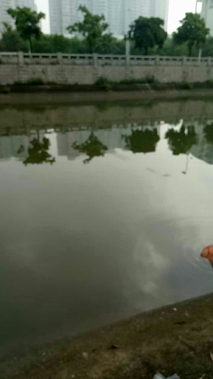 沙田二市场后面