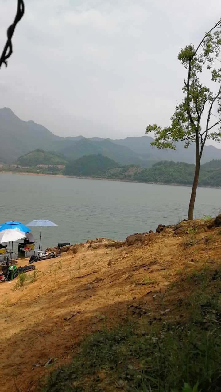 千岛湖左口钓友民宿