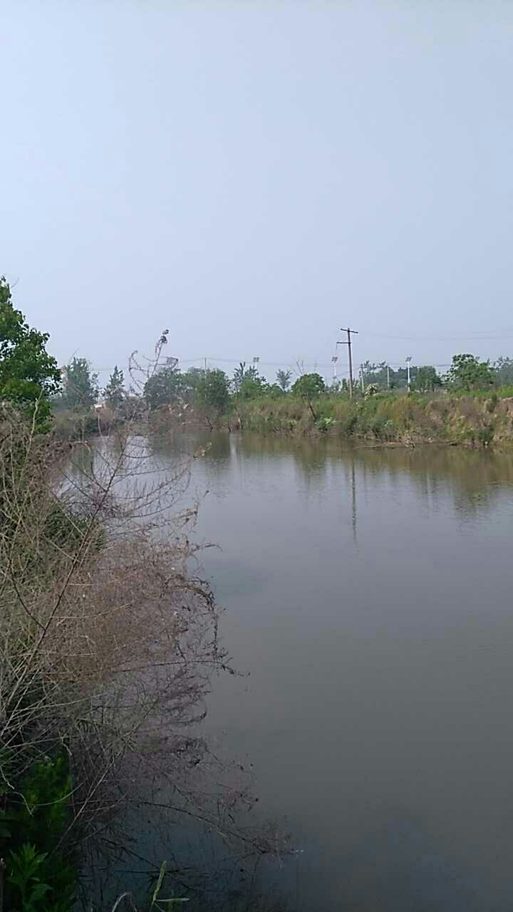 长临河孙柳村河沟