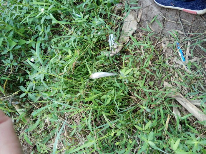 难得休息一天,相约出钓南水河