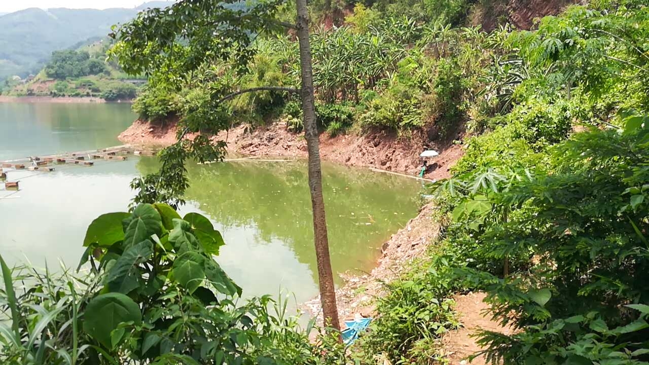 泗南江居浦渡野钓