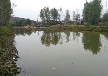 下宋水库垂钓园