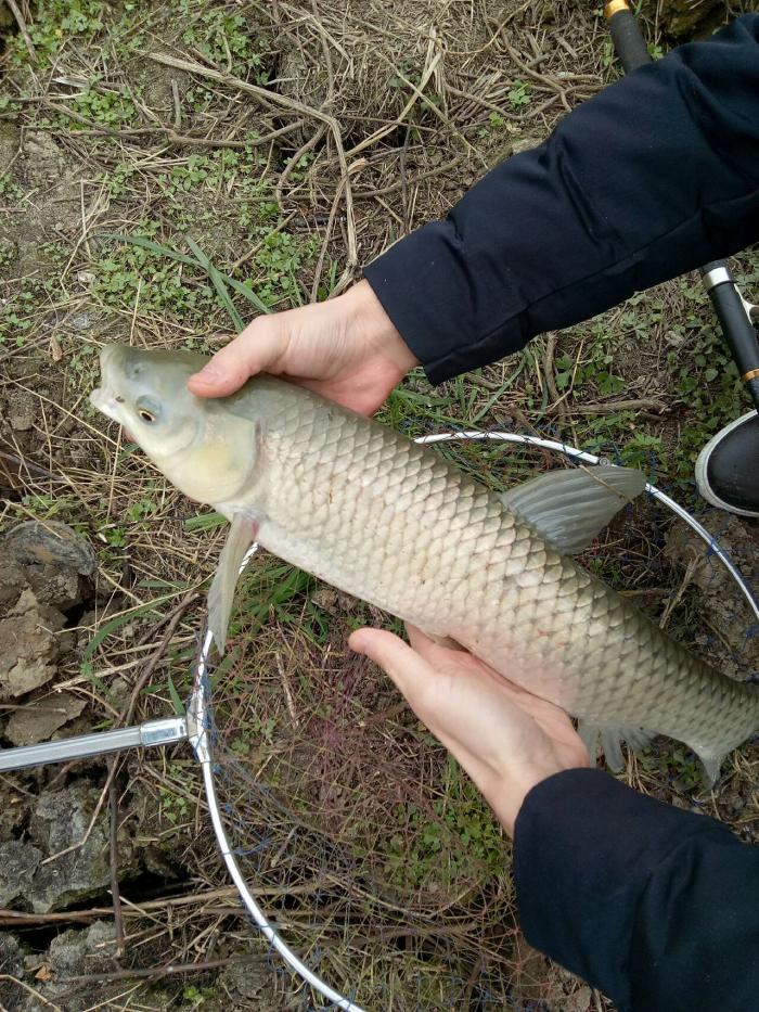 花园庄雨晴钓场