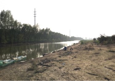 行龙洲水产养殖场