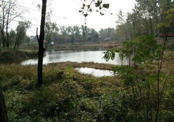 李关庙北地黑坑