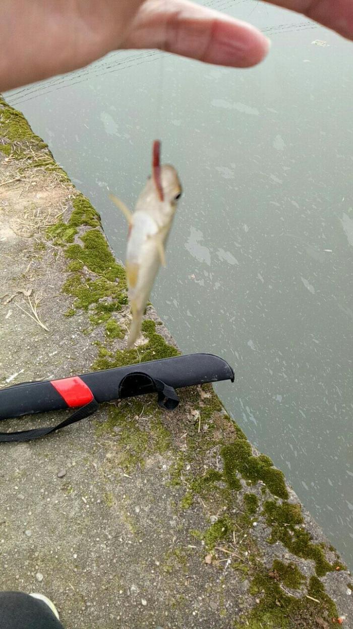 玉皇阁垂钓山庄