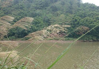 大石板电站水库