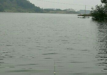 岷江大桥露天钓场