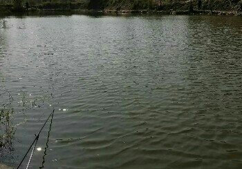 大自然老李垂钓园