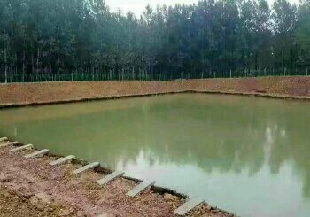 颖美休闲垂钓庄园