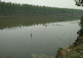 沿湖北赵段村东