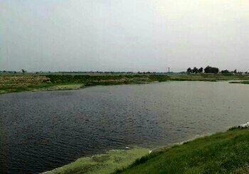 柳青河飞王村河段