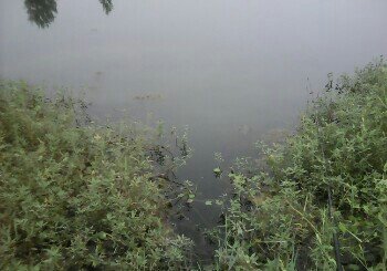 茨河沙场汉江沙坑