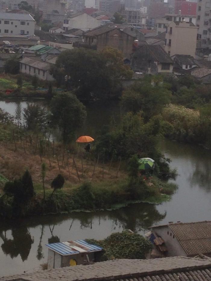 林宅村湿地公园