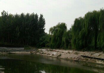 綦家村北湾垂钓园