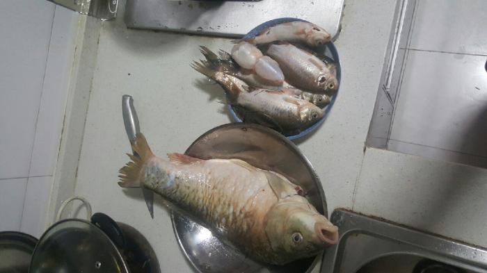 花石陶家湾渔场