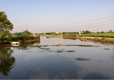 芜湖7字塘垂钓园