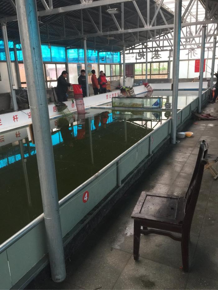 百泉大棚垂钓池