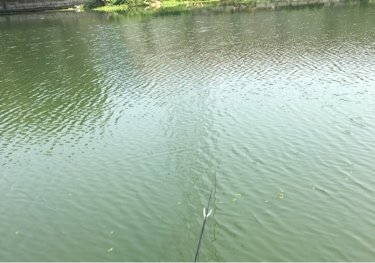 青墩塘河东港段