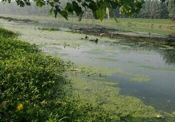 泗洪徐洪河船闸