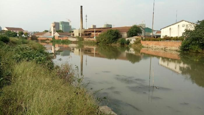 西大盈港主河道