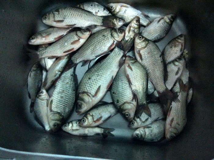 未来岛公园支流