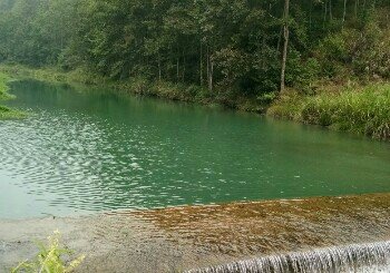 羡塘三岔河钓鱼场