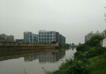 荻泾河道沙埔河交界