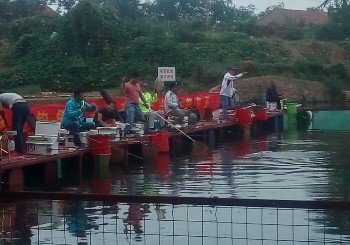 渔友之家垂钓园