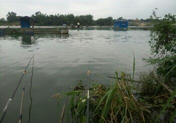 金陵刚德村钓点