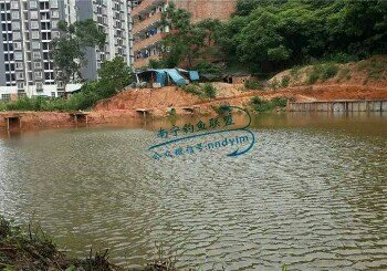 三岸林里桥钓场