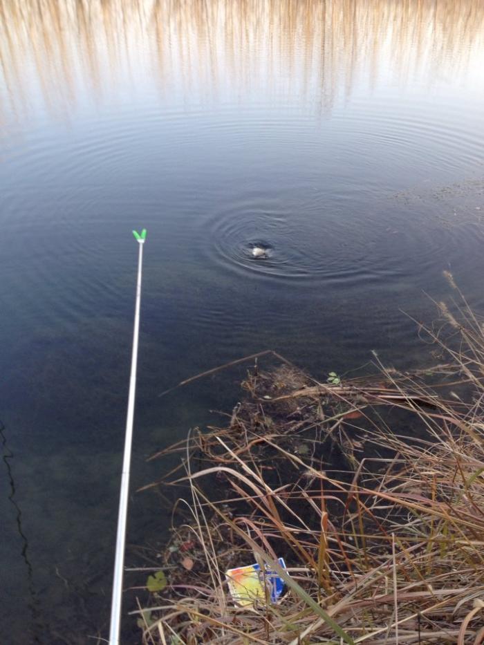 宝天曼峡谷漂流水库