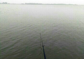 抚河塔城中学钓点