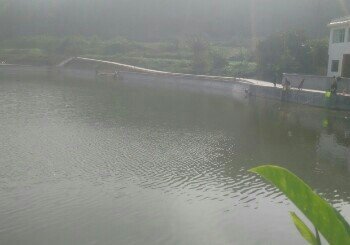 景福三湾堰钓塘