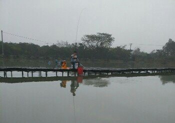 云龙三江垂钓中心