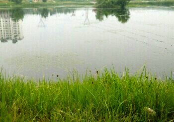 梨园山庄人工湖