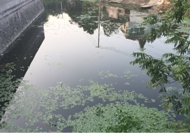 横溪卫生服务站边上