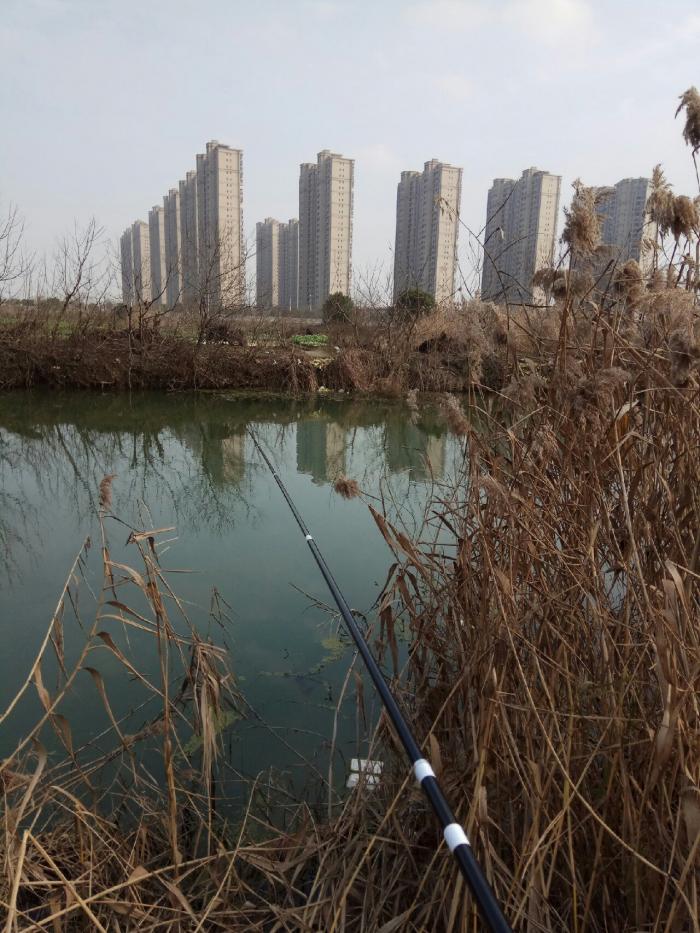 农家乐钓鱼场