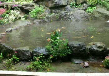 渔乐湾标准竞技池