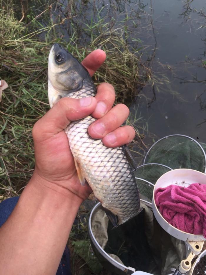 人鱼共欢垂钓休闲中心