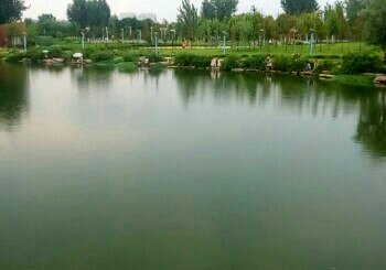 小河崖东苍源河